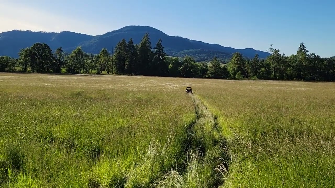 Driving through the grass 2