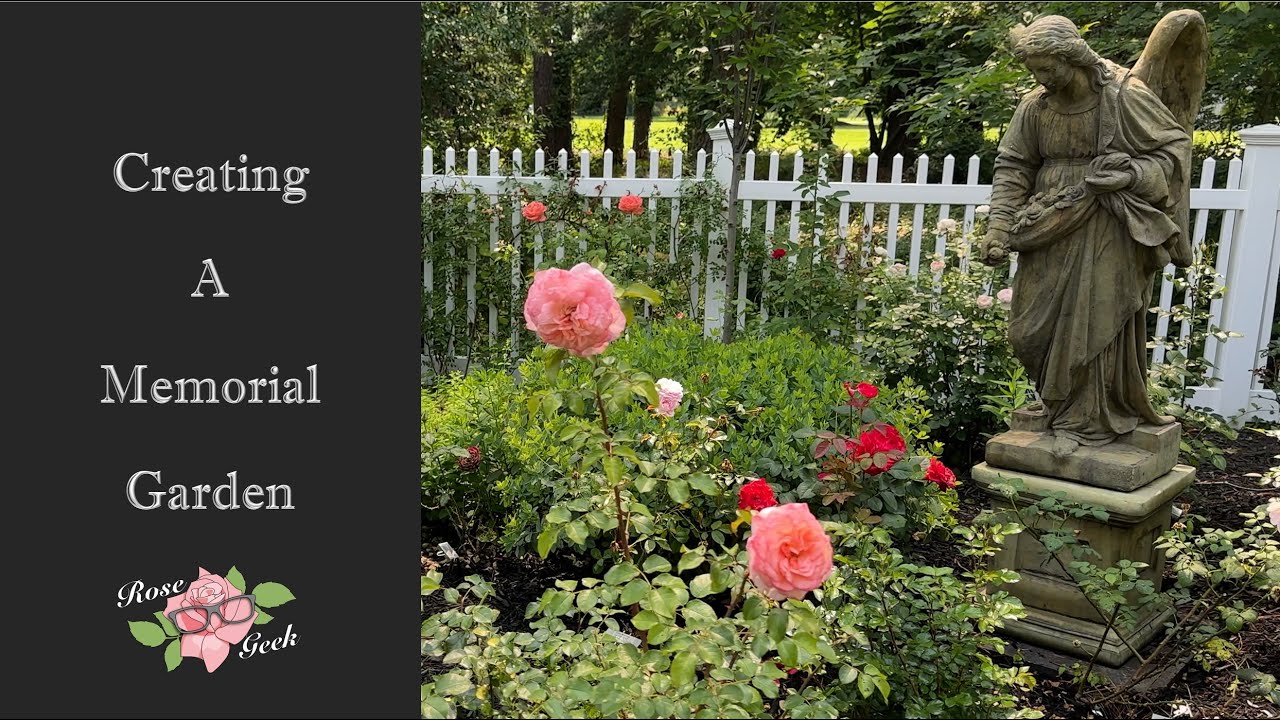 🌹Tips for Creating Memorial Gardens with Rose varieties