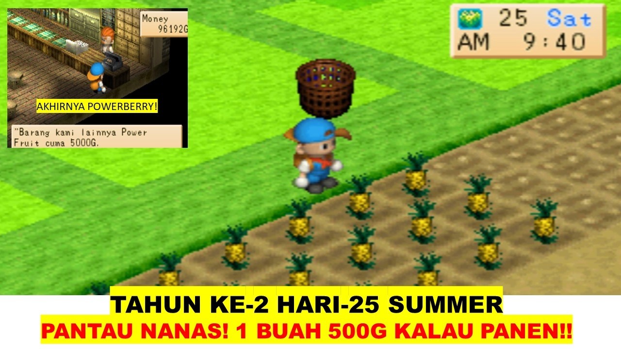 TAHUN KE 2 SUMMER HARI KE 25 PANTAU NANAS DAN BELANJA ONLINE POWERBERRY