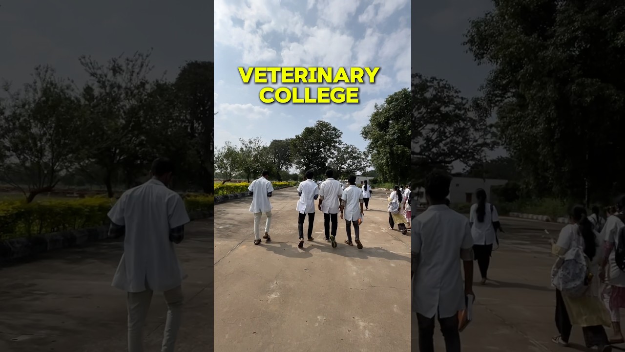 Which counselling to apply for getting admission in *Veterinary College*|Q&A series part 3#vet #neet