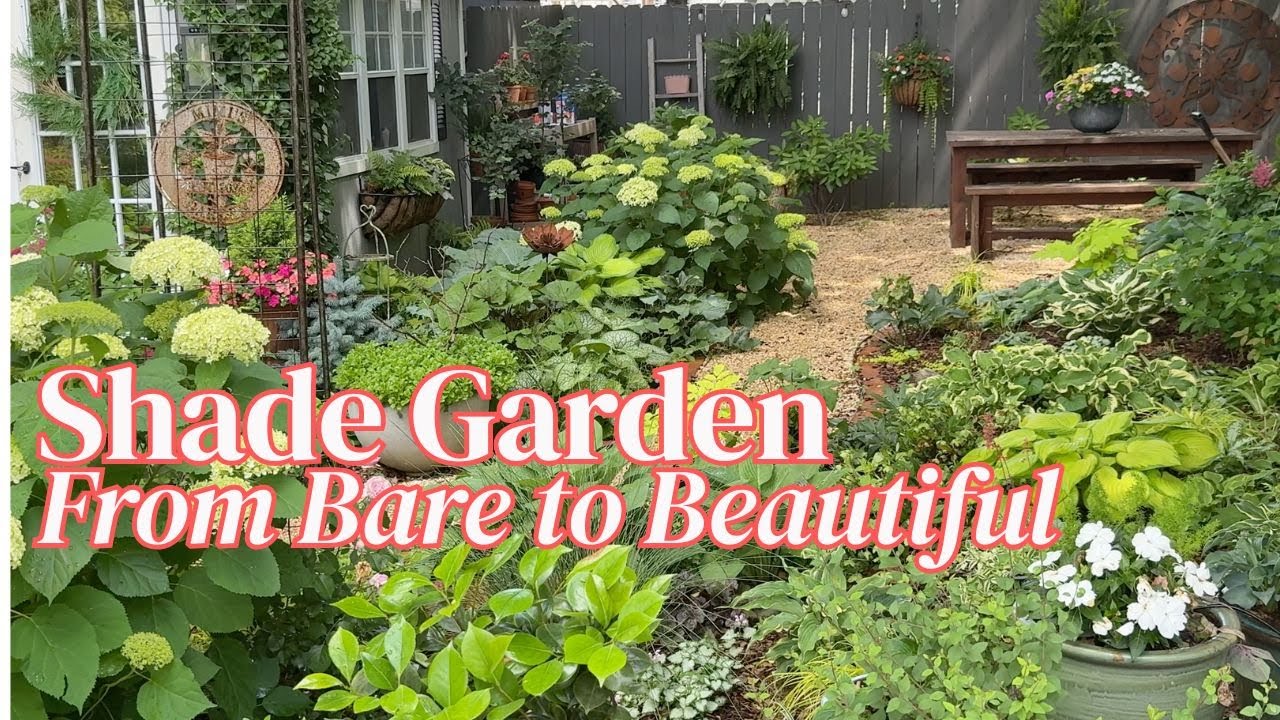 🌳 Watch My Shade Garden Grow: From Empty to Enchanted