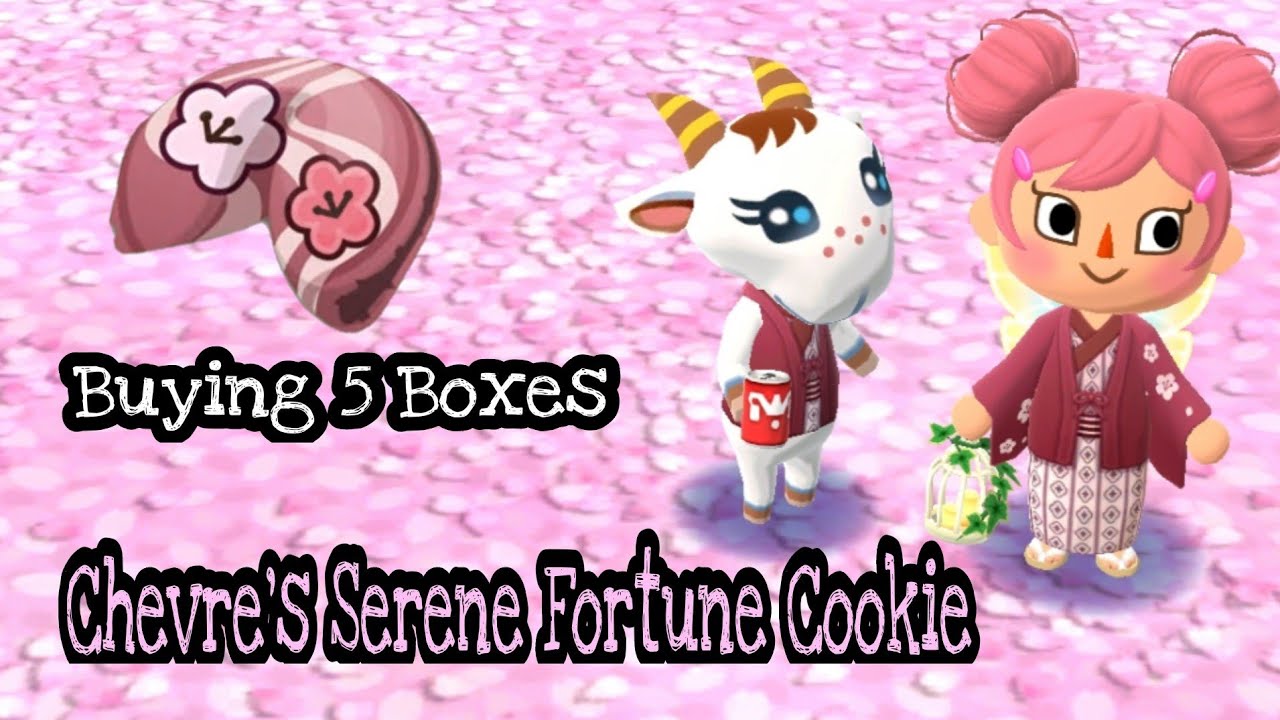 Opening Chevre's Fortune Cookie (5 Boxes) | Animal Crossing Pocket Camp