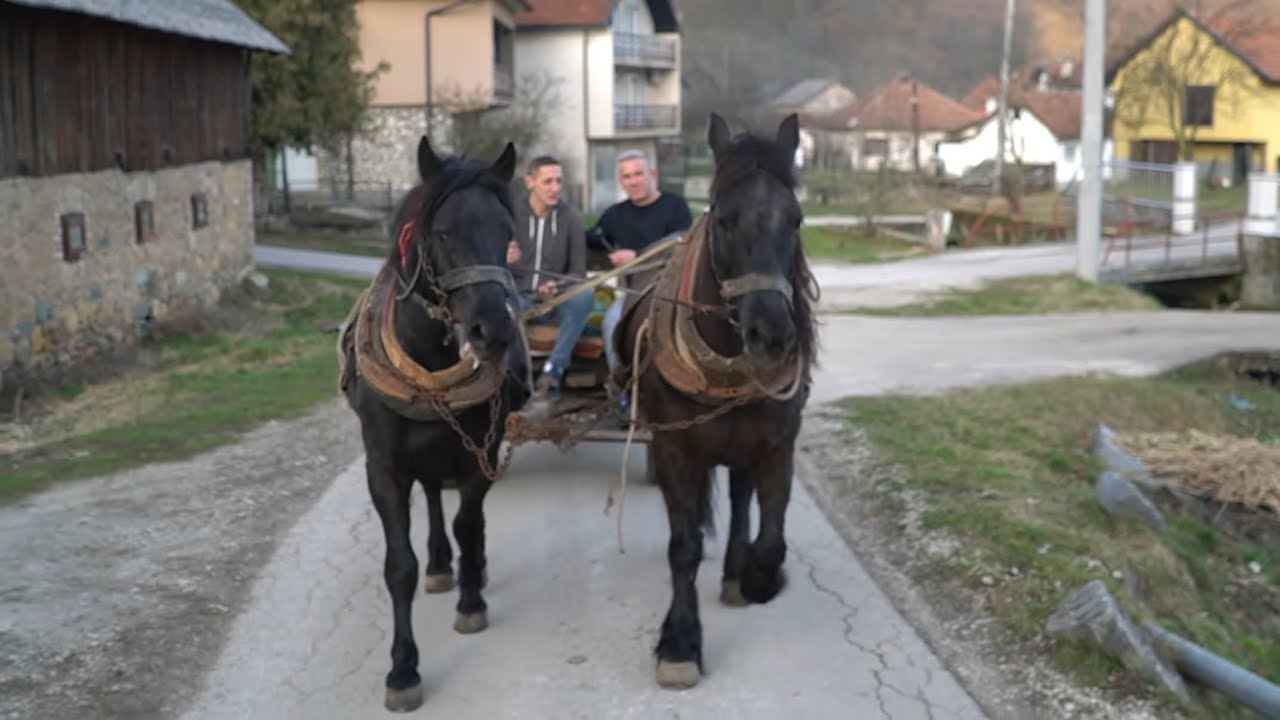 SVE BI MOGAO OSTAVITI ALI SVOJE KONJE NE MOGU SNJIMA SAM ODRASTAO
