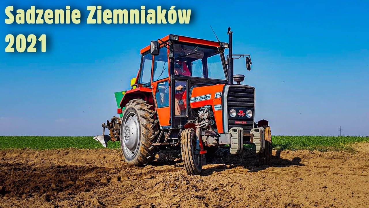 👩‍🌾Sadzenie ziemniaków 👩‍🌾2021 🥔🥔MASSEY-FERGUSON 255🥔🥔w akcji sadzenie 🔥