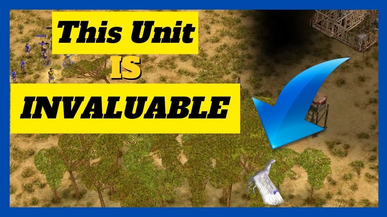 The Perfect Zeus Doesn't Exi... | 1v1 Zeus vs Odin #aom #ageofempires