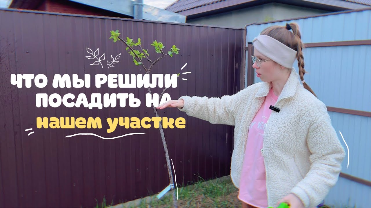 садовый vlog: газон, покупки деревьев, обрезка, что планируем делать дальше🪏