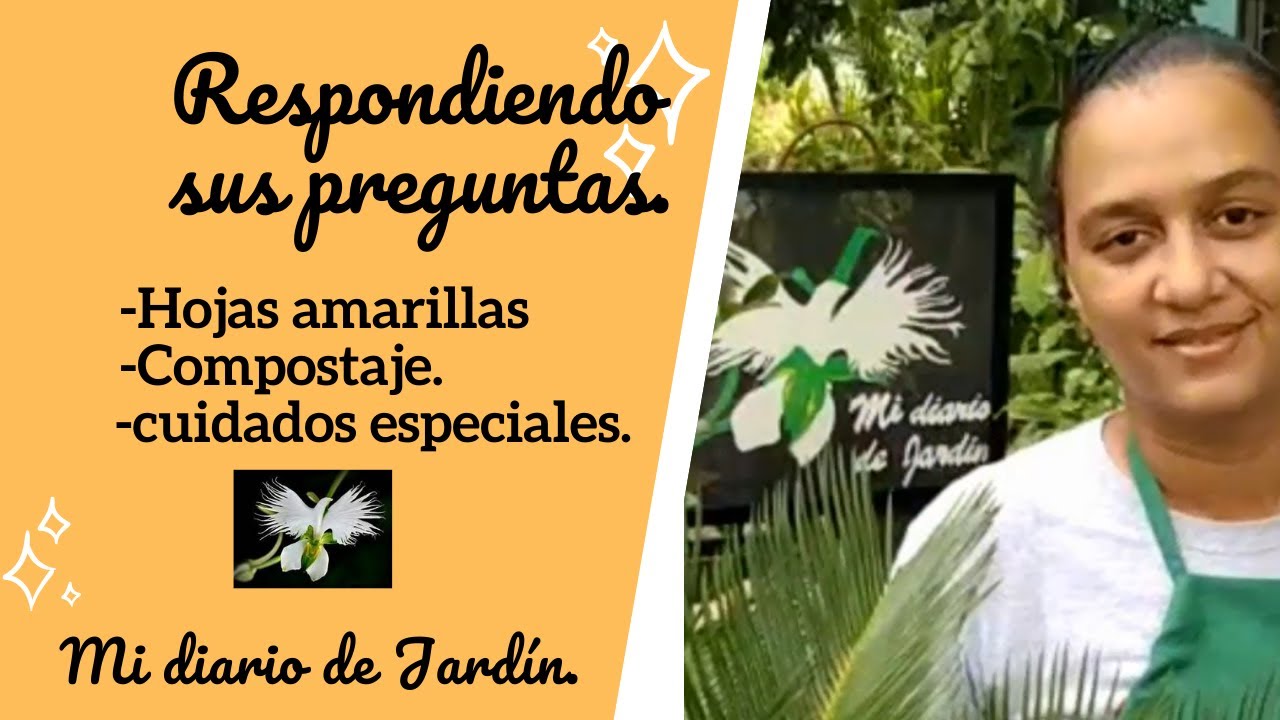 EL CUIDADO DE LAS PLANTAS Zamioculca, Cycas, Anturio HOOKERI - Mi Diario de Jardin