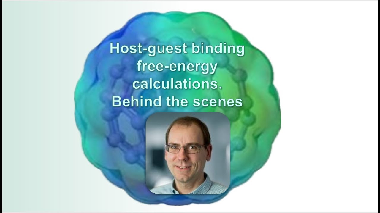 Host-Guest Binding Free-Energy Calculations. Behind the Scenes
