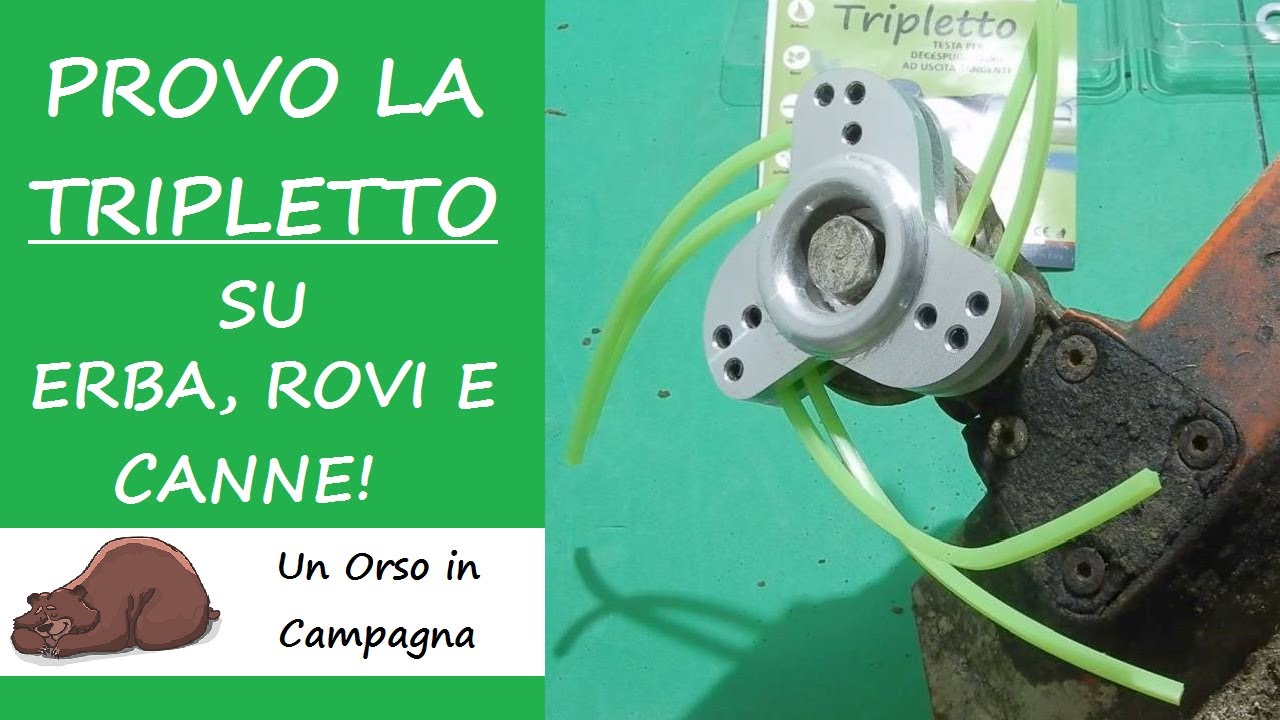 Testina Tripletto: fa paura! L'ho maltrattata fino alla rottura del filo!