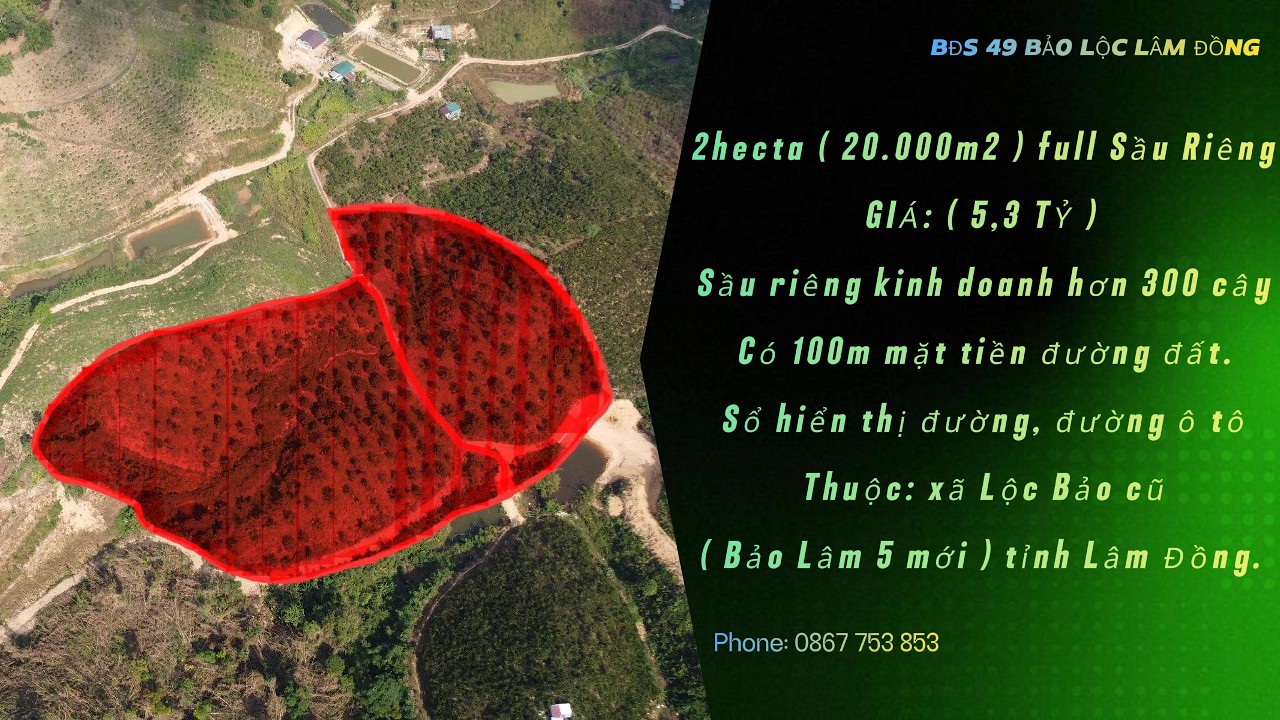 ( Pass 21) vườn full sầu riêng 2ha ( 20.000m2) thuộc Lộc Bảo ( Bảo Lâm 5 ), Bảo Lộc,  tỉnh Lâm Đồng.
