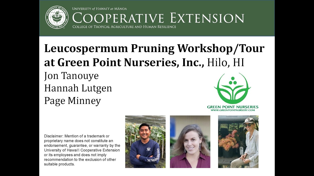 Leucospermum Pruning Workshop/Tour at Green Point Nurseries, Inc.