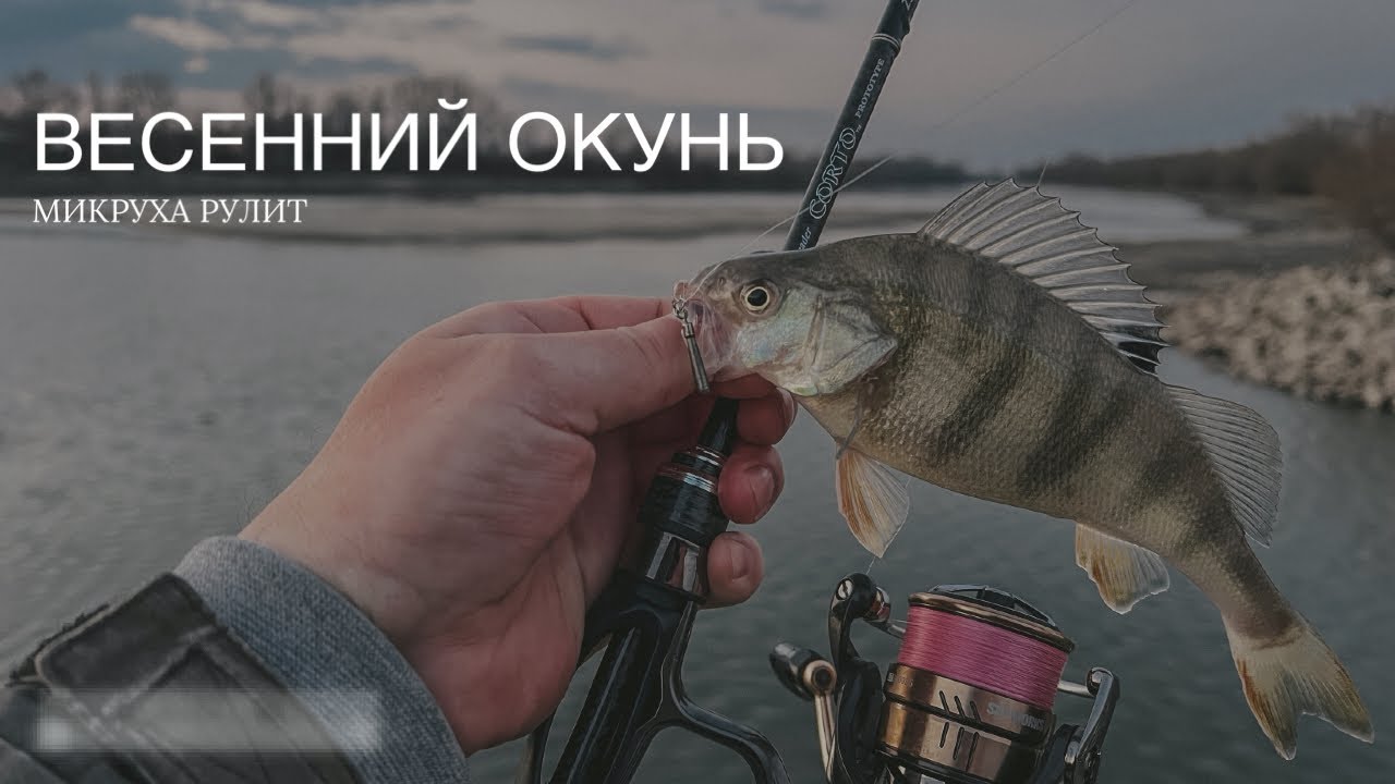 Микроджиг на Кубани. Окунь на ультралайт🎣 Выгулял Graphiteleader Corto Prototype 23GCORPS-642UL-HS