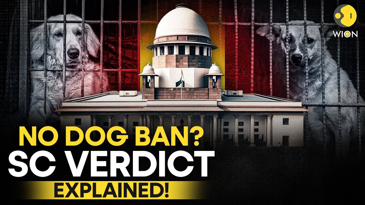 Will The Captured Stray Dogs Be Released? SC's FINAL Verdict On Delhi's Stray Dogs | WION Originals