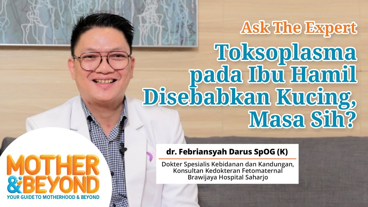 Ask The Expert: Toksoplasma pada Ibu Hamil Disebabkan Kucing, Masa Sih?