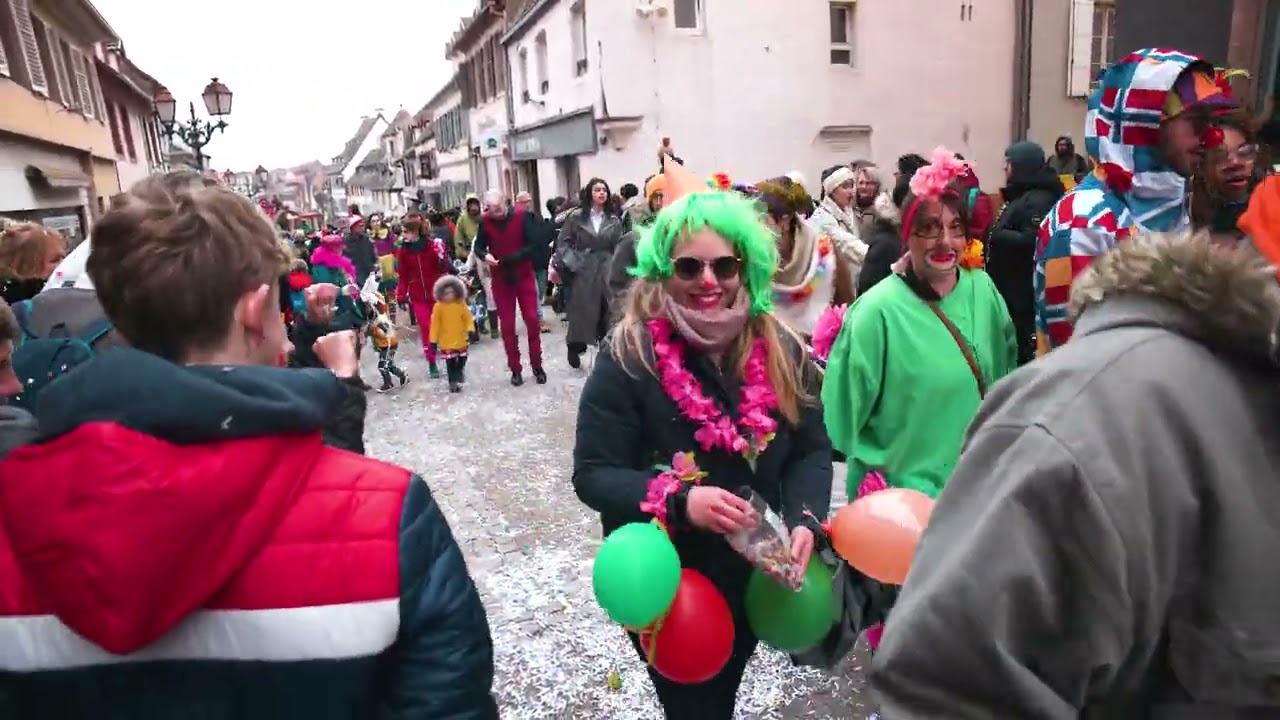 Compilation du Carnaval 2023 a Saverne ! #CarnavalSaverne #Einhorn #Saverne