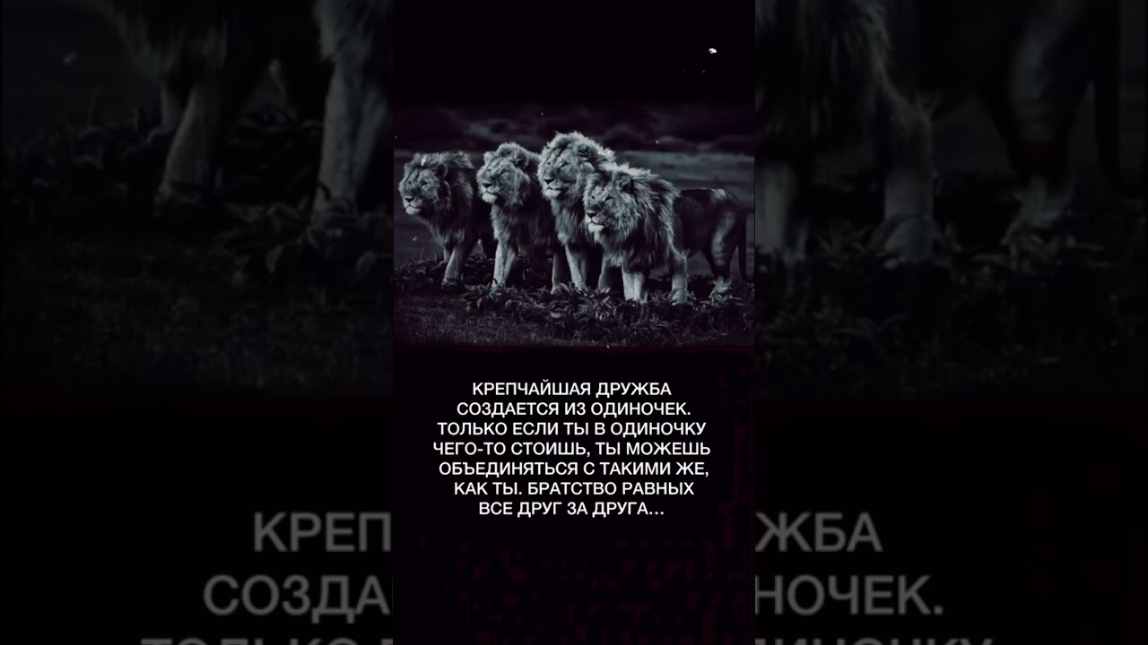 Братьям…