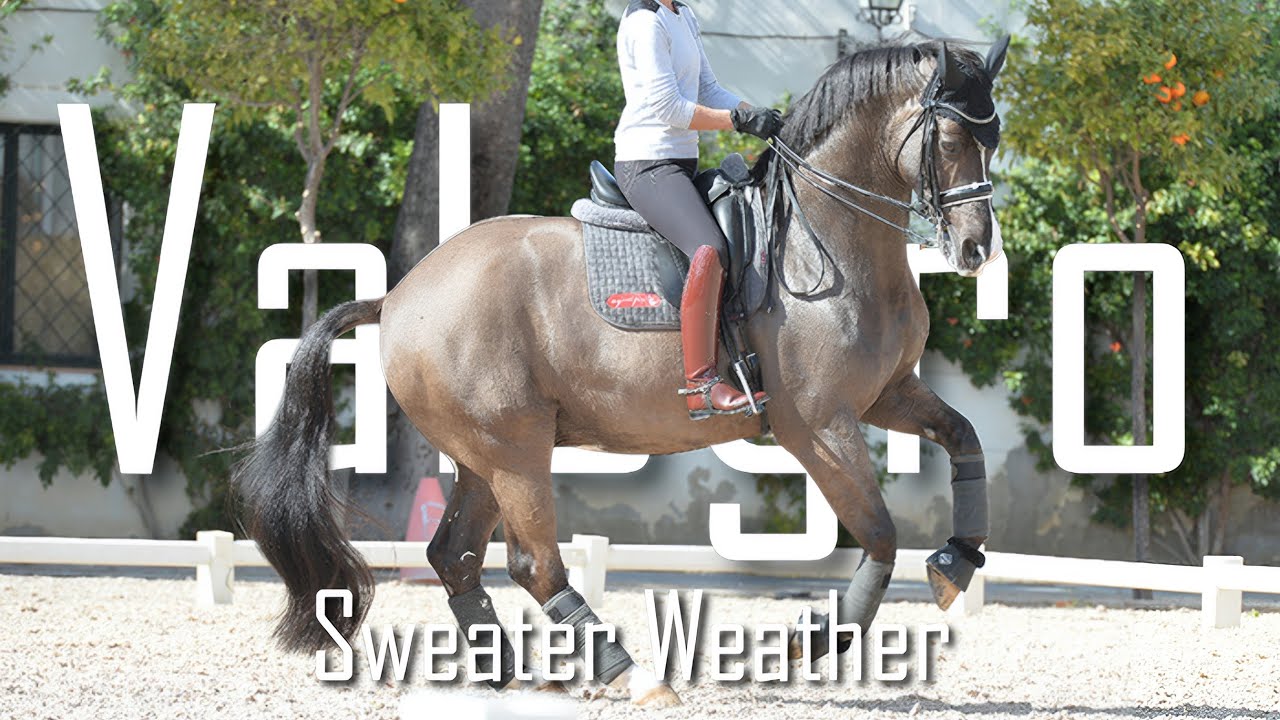 Valegro Tribute // Sweater Weather 
