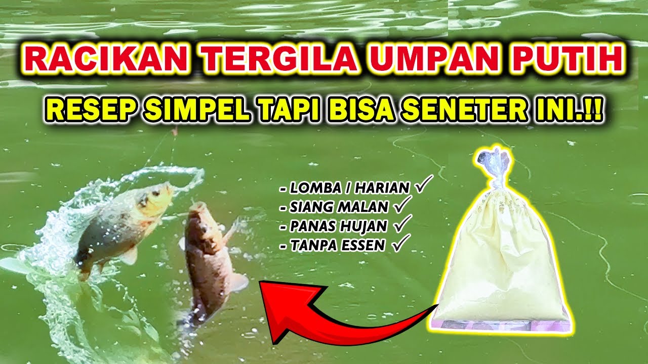 RACIKAN UMPAN PUTIH TERGILA !! RESEP UMPAN IKAN MAS KUKUS TERJITU LOMBA HARIAN BABON&RAME ❗❗