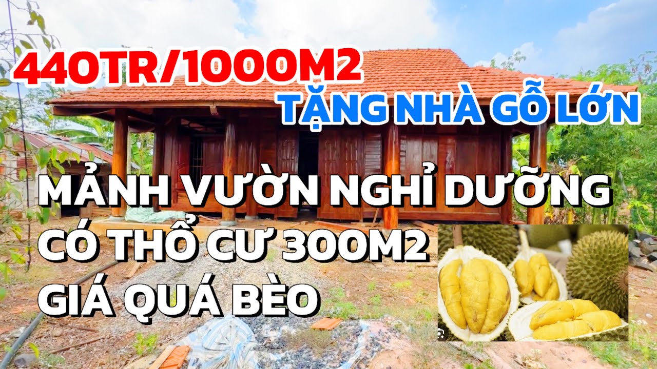 Chị Hoa nợ nần mua đất lúc sốt giờ bán lỗ, mảnh vườn chưa tới 500tr/sào ở Đồng Nai