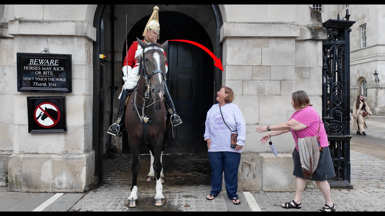 Walks Straight Up to the Horse with a BIG SMILE. Twice Guard Reprimanded her GET OUT OF THE BOX. 
