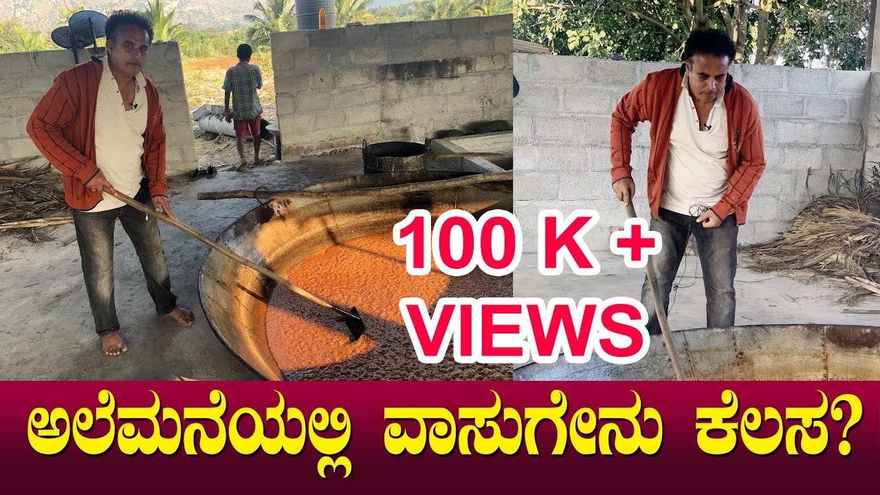 ಆಲೆಮನೆಯಲ್ಲಿ ವಾಸುಗೇನು ಕೆಲಸ? Alemane | Traditional Jaggery Production | ಬೆಲ್ಲ ತಯಾರಿಸುವ ವಿಧಾನ | Ep 54