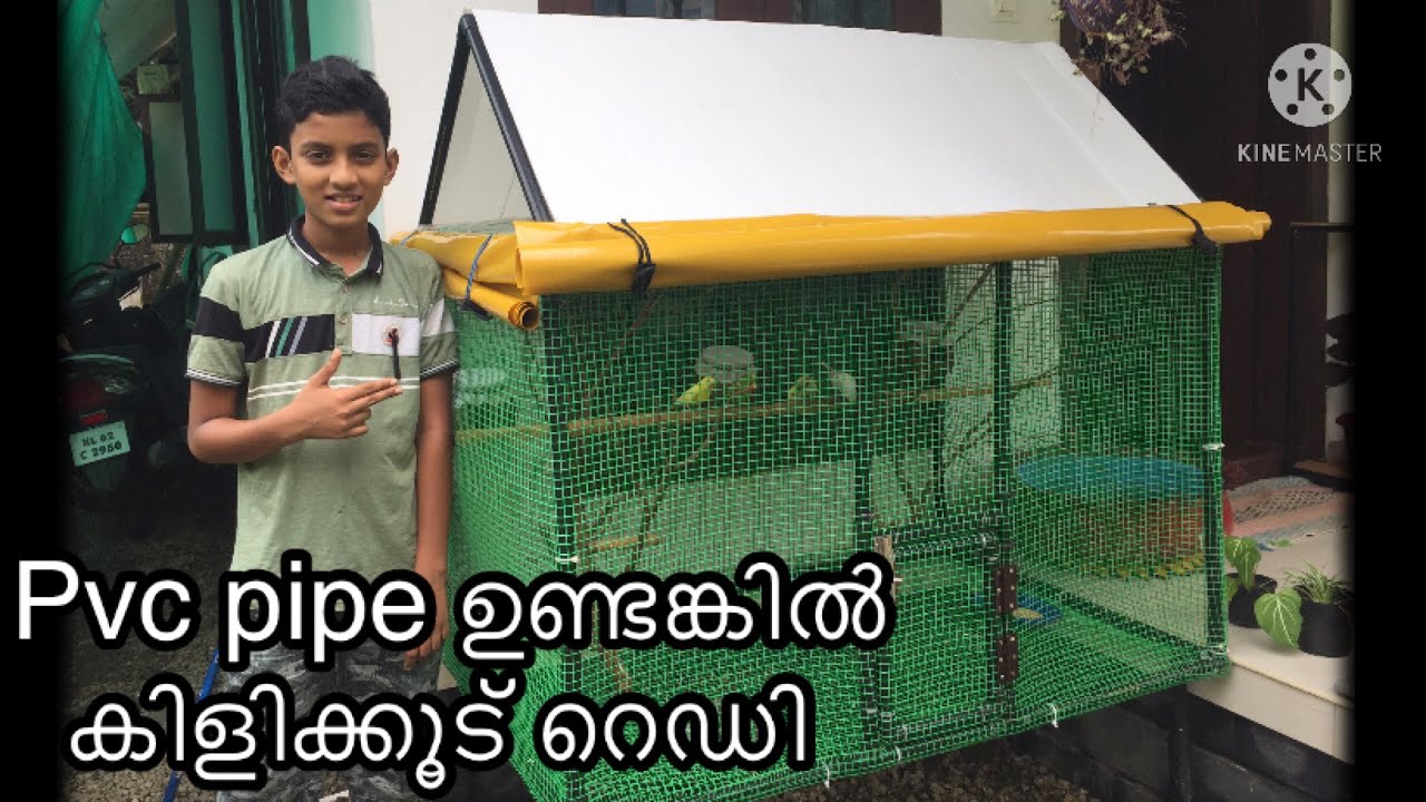 Love birds cage making with pvc pipe