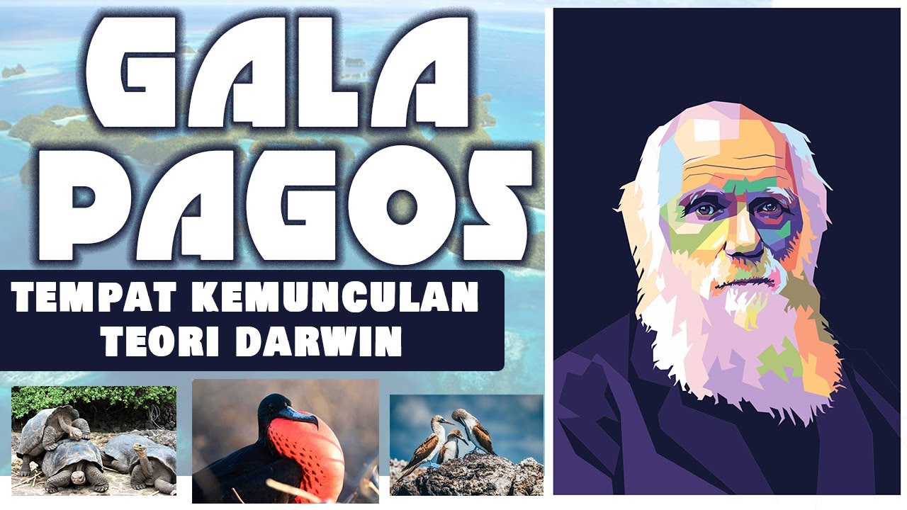Teori Darwin berawal dari keindahan pulau ini || GALAPAGOS  ISLAND
