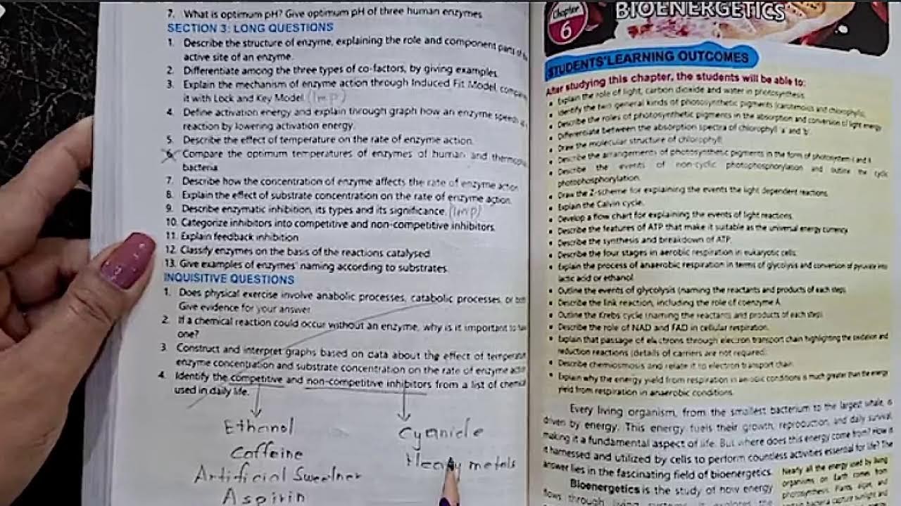 Class 1st Year | Biology | chapter 5 | All Lectures | 2025 New Course | Maam Sadaf
