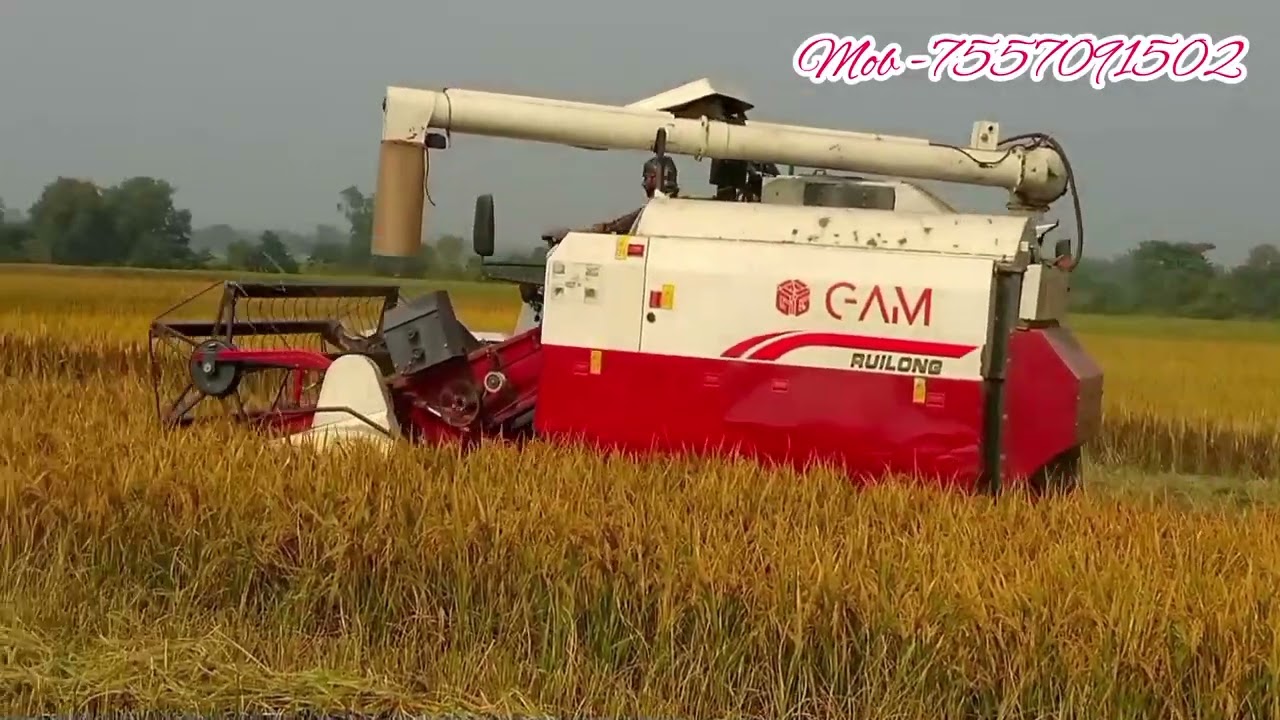 gam harvester  ধান কাটা মেশিন harvester video