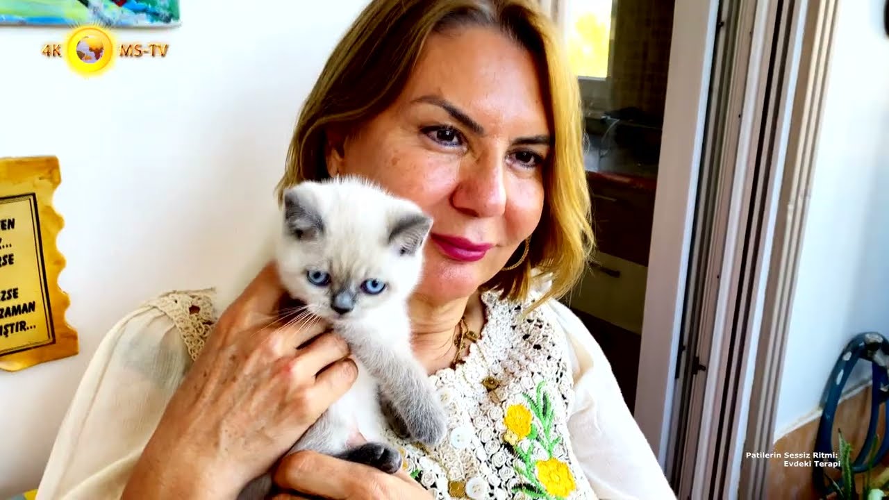 Patilerin Sessiz Ritmi: Ayfer Öztürk Evinde Terapi