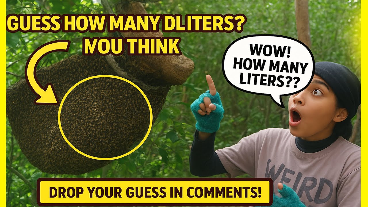 How Many Liters of Honey Do You Think a Beehive Produces? 🍯 Guess Before I Reveal the Answer!