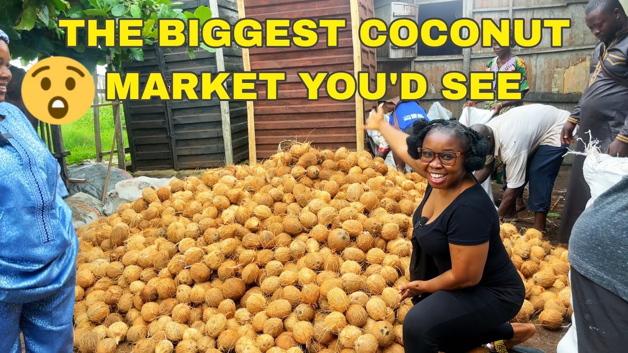 The Biggest Coconut Market You Will See Agbalata Market Badagry