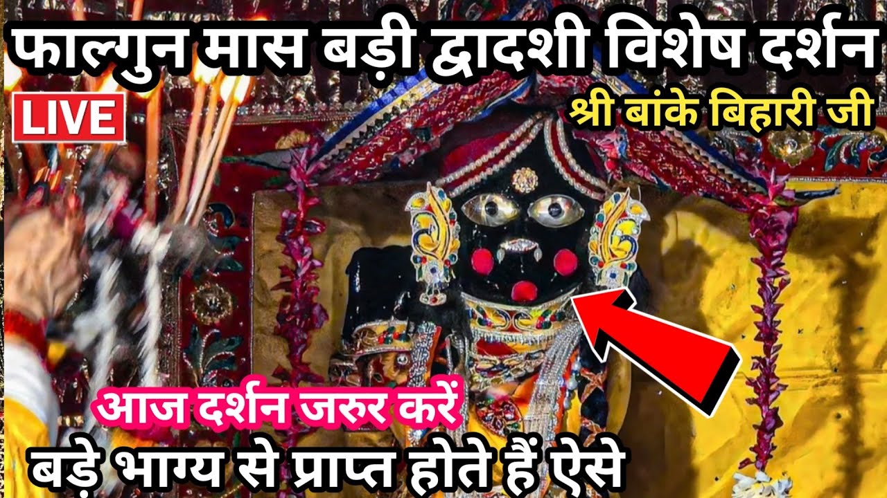 🙏फाल्गुन मास महा द्वादशी ♥️ करीब से दर्शन 🙏 श्री बांके बिहारी जी 🌹 banke bihari live darshan today