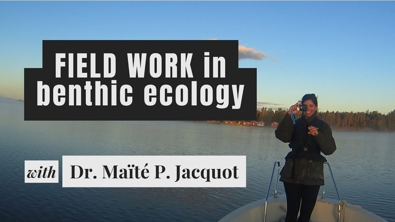 Field and lab work in marine benthic ecology