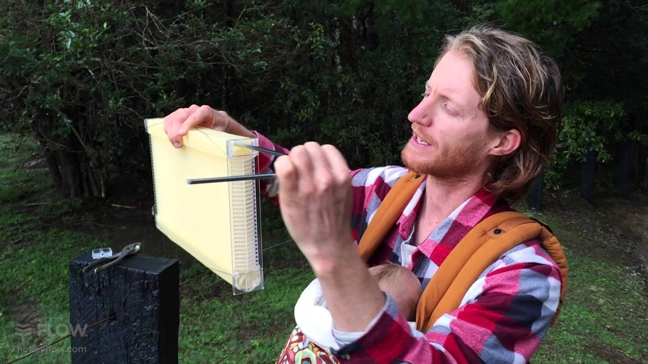 How to make sure your Flow&trade; Frames are ready for your bees