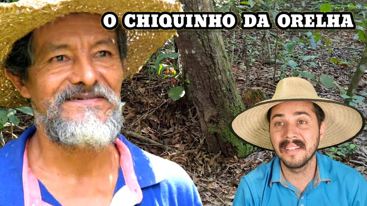 O Chiquinho que perdeu uma Orelha na Espera de Caça do Mato