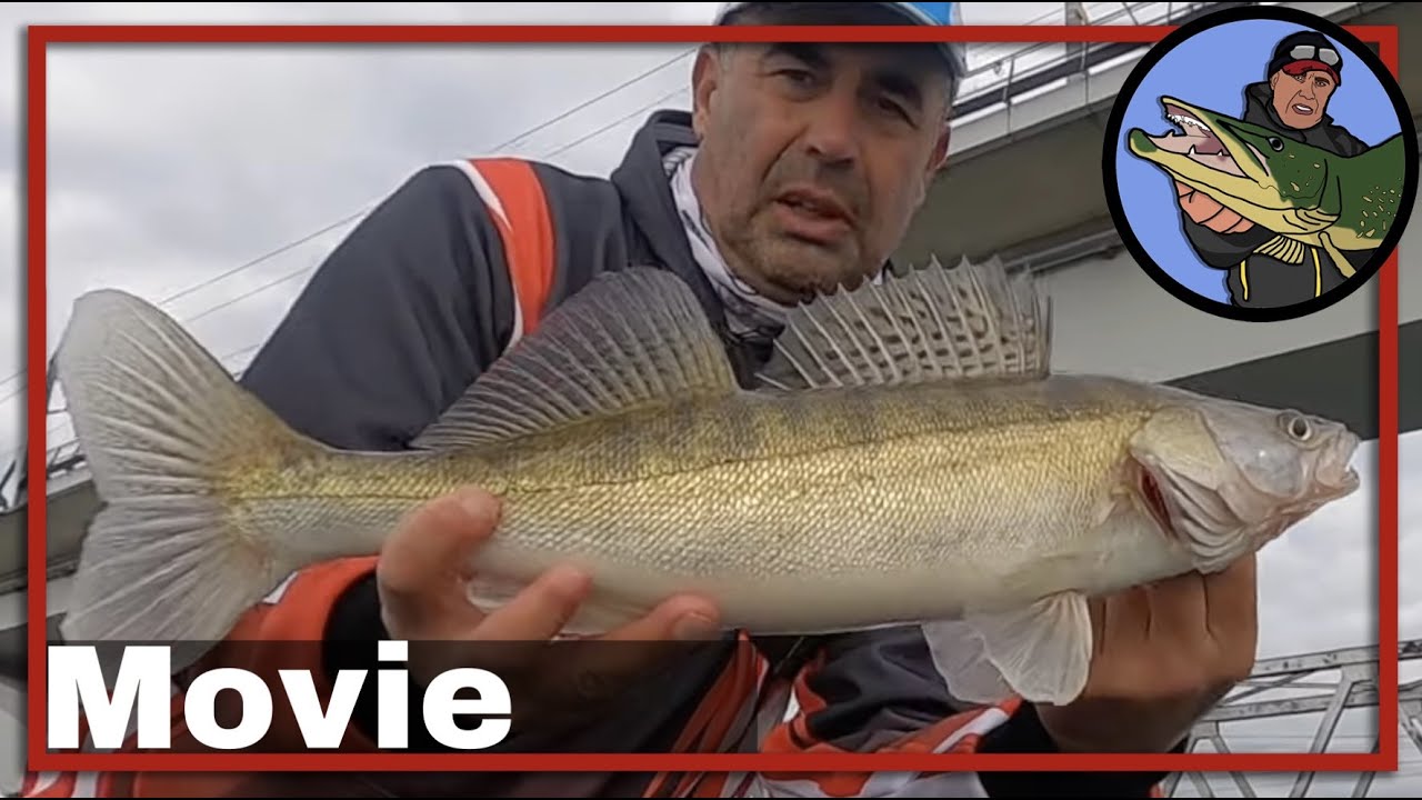 🎣 VISSEN OP SNOEKBAARS MET DE LOODKOP SLEEPTECHNIEK 🎥 vistechnieken snoekbaars | kunstaas #47
