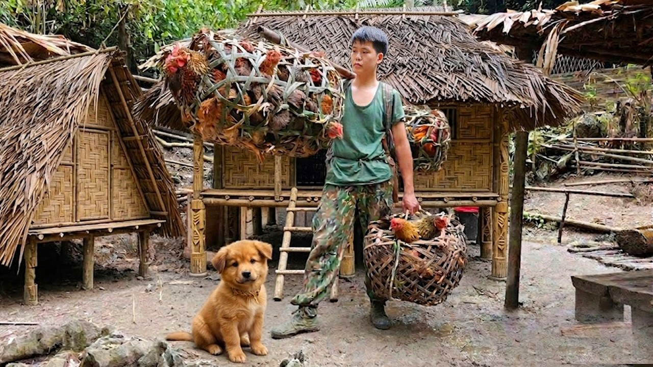Living Alone in the Woods: Moving Chickens to Safe Shelter from Wild Predators