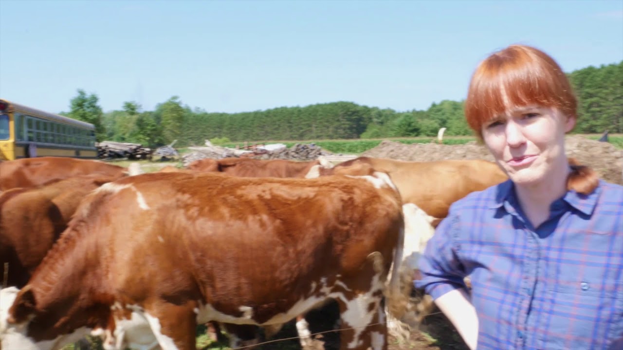The Yooper Project - Trailer - LA Comedy Film Festival