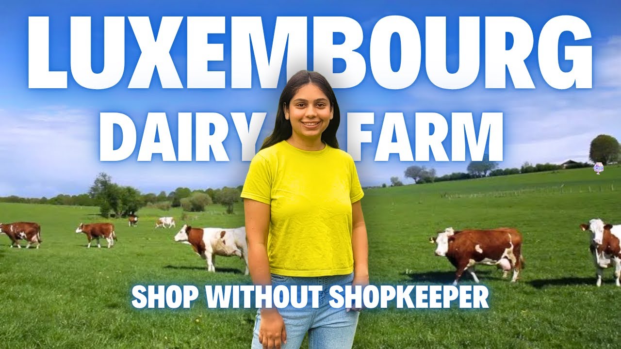 How I Got Fresh Milk in Luxembourg 🇱🇺 |  Price, Payment & Honest Local Experience | Luxembourg Vlog