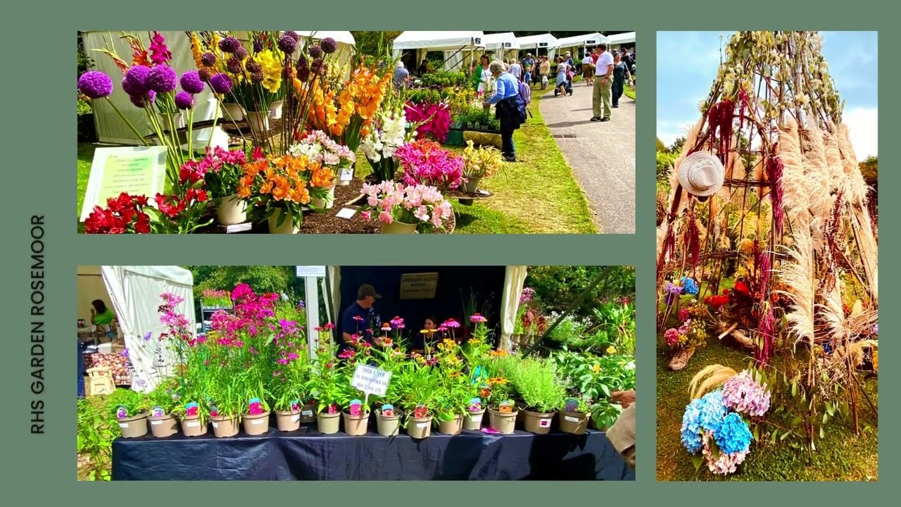 RHS Garden Rosemoor Flower Show. RHS rosemoor.