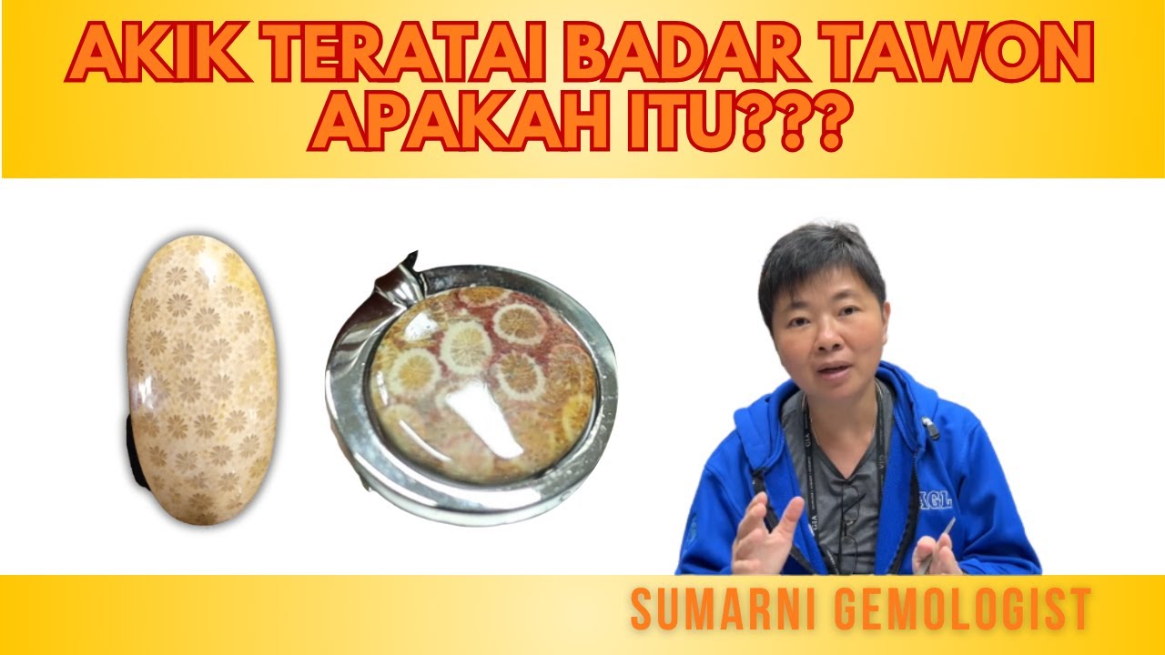 MENGENAL BATU AKIK TERATAI BADAR TAWON