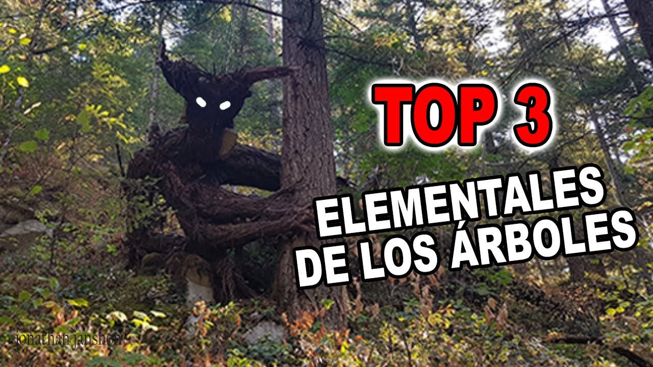 Top 3 Seres Elementales de los Árboles