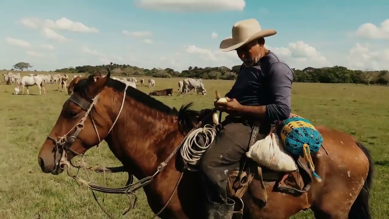 El Estero de la Palmita - EL MOCHO PÉREZ (Video Oficial)