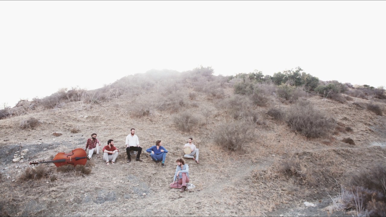 Hayelala - The Sparrows of Merrit Island