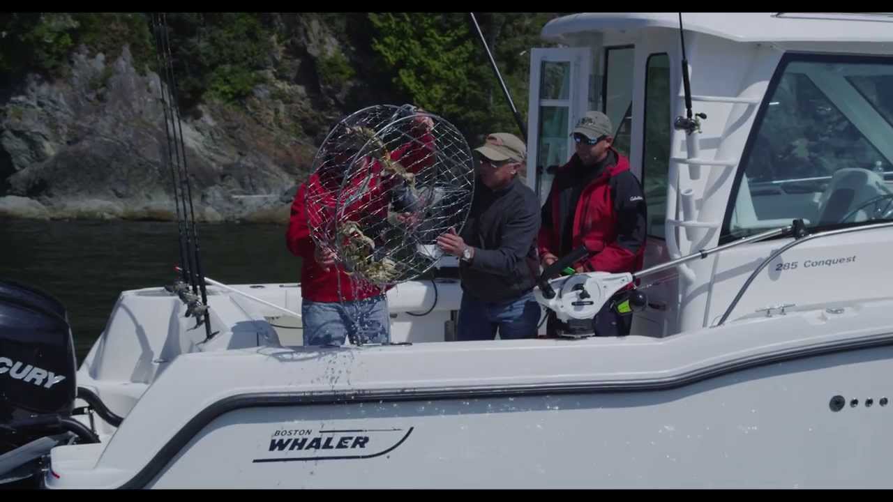 Boston Whaler 285 Conquest Pilothouse