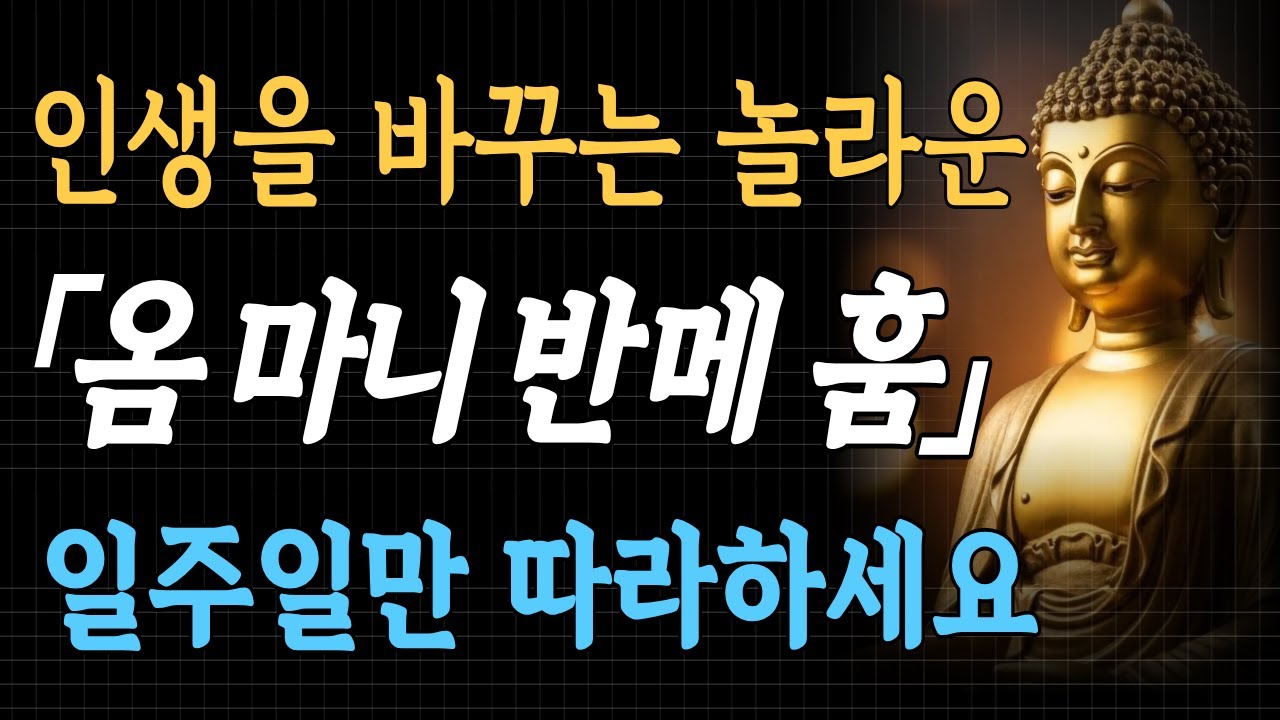 내안의 보석을깨우는 옴마니반메훔 #불교법문 #옴마니반메훔 #시니어마음공부 #불교수행 #관세음보살 #명상 #내면의평화 #불자 #마음수행 #지혜의말씀
