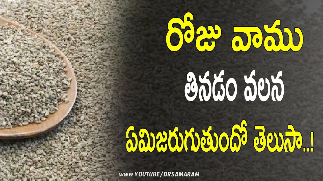 రోజు వాము తినడం వలన ఏమిజరుగుతుందో తెలుసా || Health Tips|| Benefits Of Carom Seeds