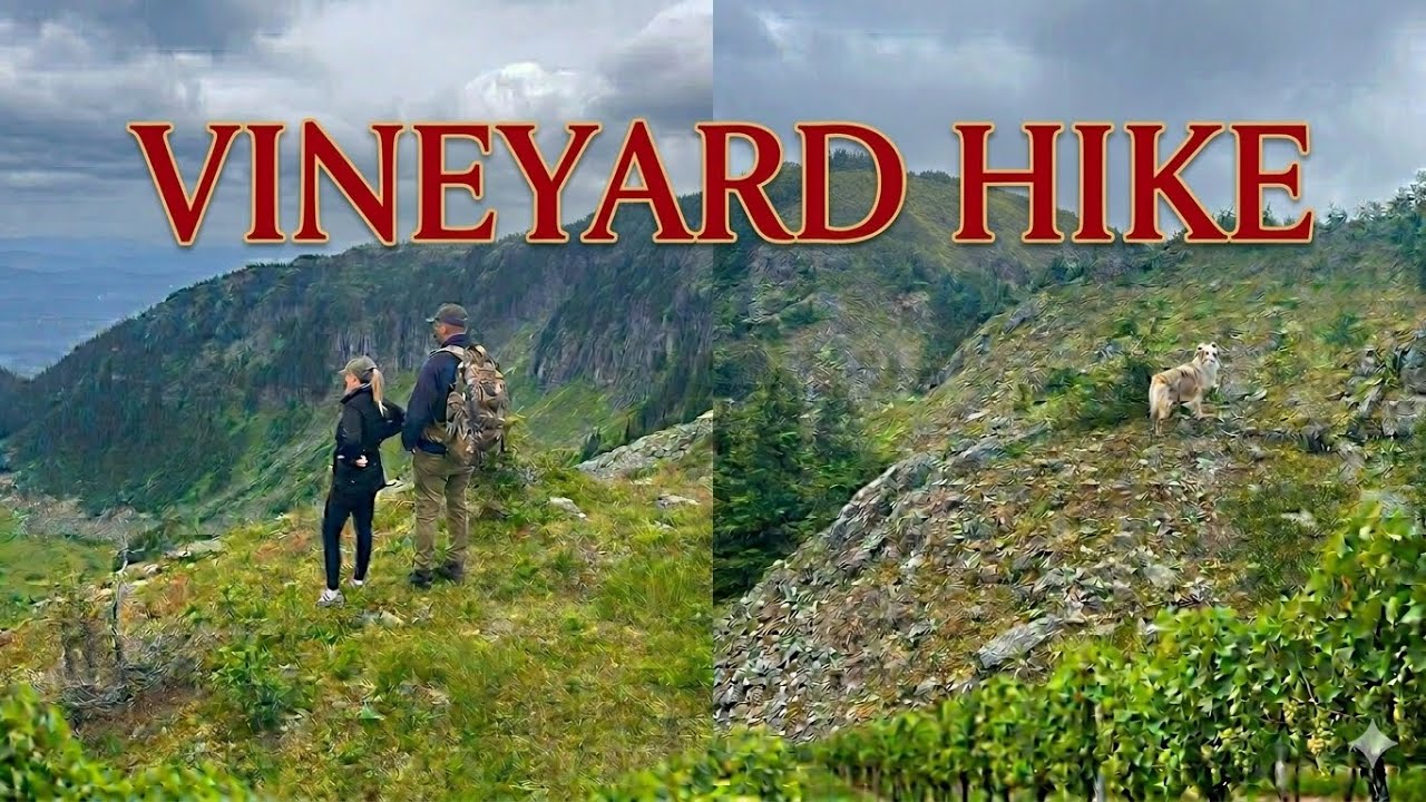 Vineyards Hike In Under 4 Min - Beautiful British Columbia
