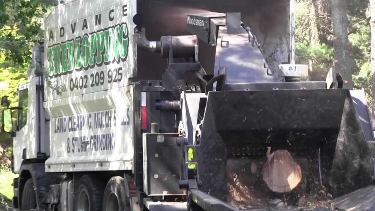 Woodchipper Chipping Trees